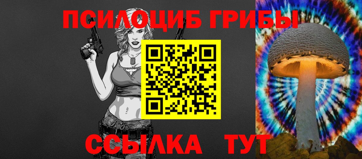 магазин продажи   Вход с VPN  Железноводск  Псилоцибиновые грибы Psilocybine cubensis 